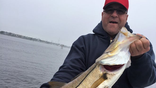 Slot snook were snapping on the St. Lucie River for anglers fishing with Capt. Greg Scherer of Bridge Tender guide service out of North Fork Bait and Tackle in Jensen Beach. All snook must be released until harvest re-opens Feb. 1.