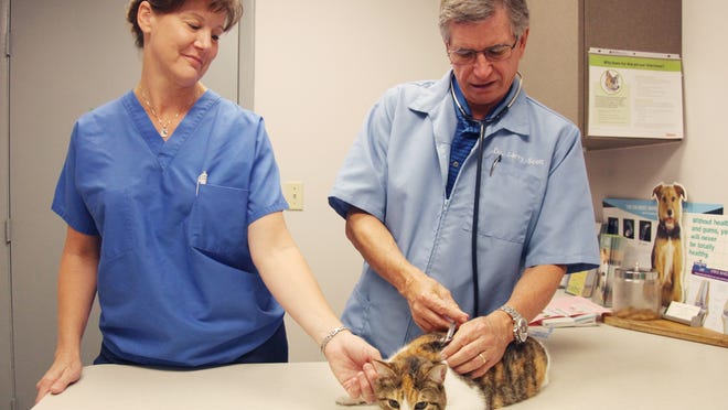 Veterinary Technician Robin Kalil assists Dr. Larry Scott as he delivers vaccinations to Callie the calico cat on Friday.