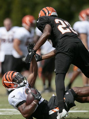 Bengals running back Cedric Peerman is knocked to the ground by cornerback Darius Hillary during practice, which is not ideal in coach Marvin Lewis' eyes.
