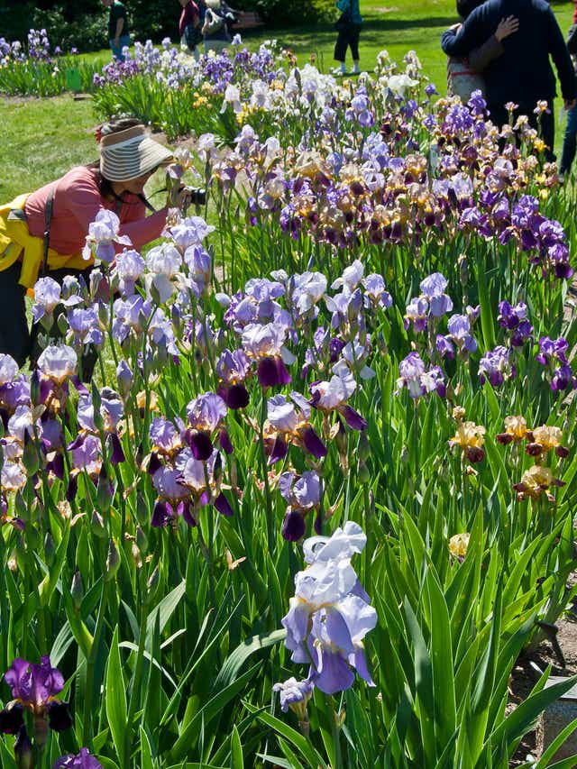 The Gardener State It S The Perfect Time To Visit Historic Blooms