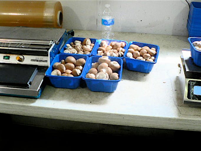 Weighed, boxed and ready to go.