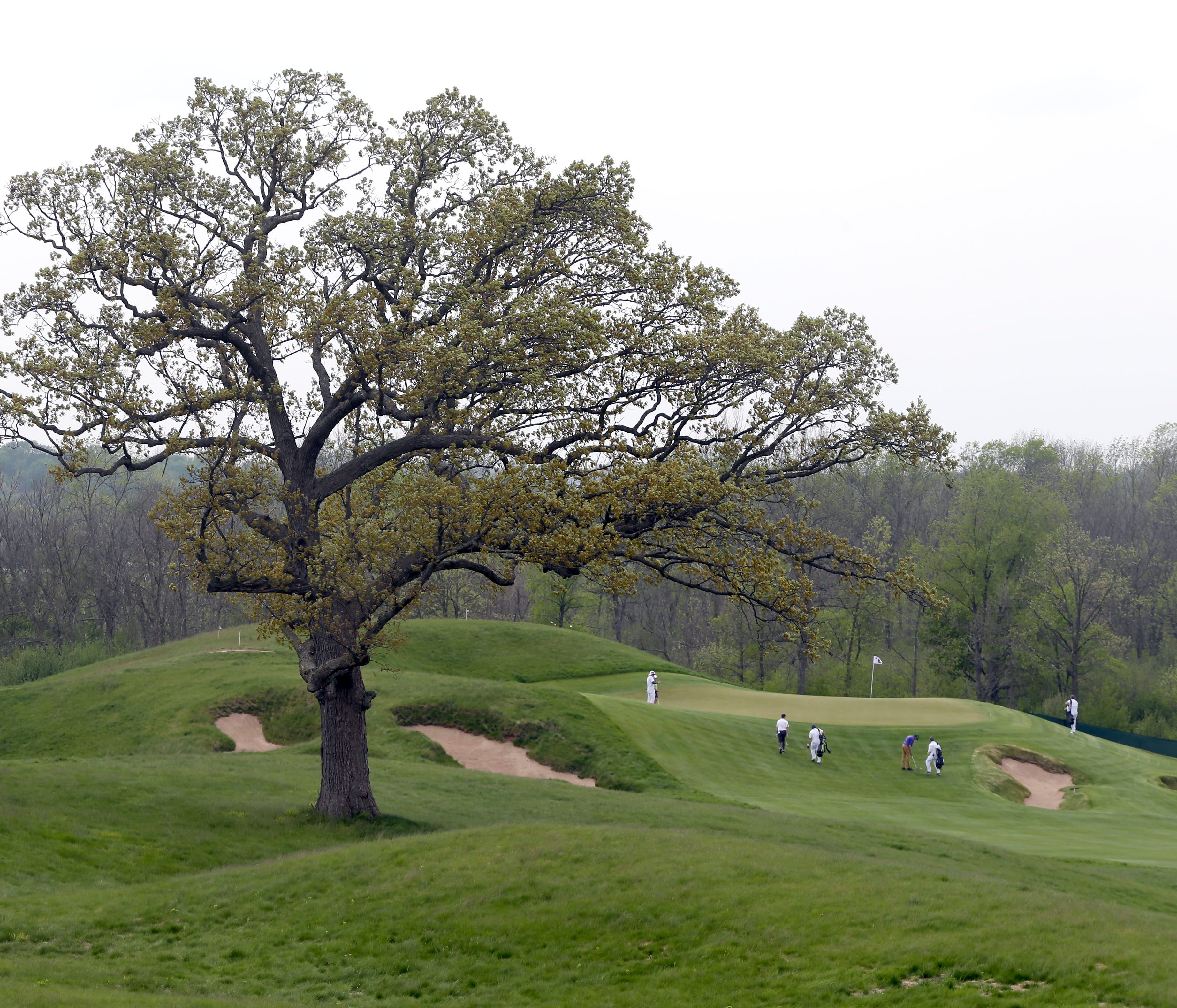 A lone oak tree stands between the 15th and 16 holes during the U.S. Open golf tournament media day at Erin Hills, Wis., May 17, 2017. The man who first imagined the grassy Wisconsin cattle farm as a potential piece of the U.S. Open's hallowed histor