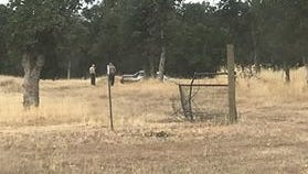 Deputies look for a suspect following a Friday chase off Bass Pond Road in Millville. The driver broke through the resident's fence and ran from officers.