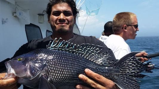 This nice black sea bass was caught aboard the Ocean Explorer out of Belmar earlier this month.