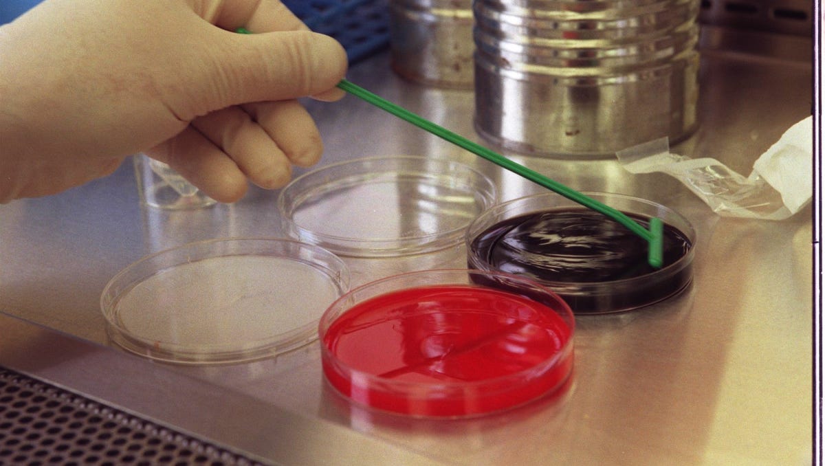 Detectan Legionella en edificio administrativo; cierran temporalmente por seguridad