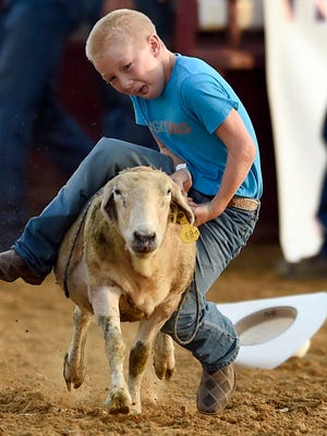 Rowdy Hibbs of Clay hangs on for as long as he can after losing his hat while competing in the "Mutton Bustin!" competition at the start of the rodeo during the Henderson County Fair in 2016.