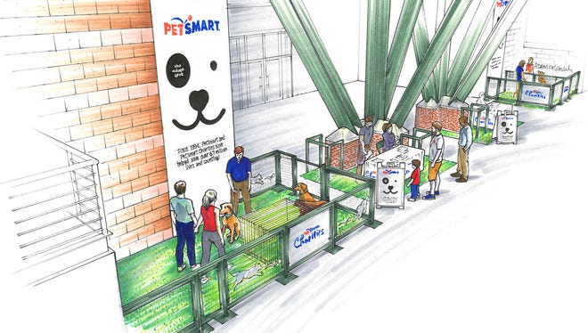 Not only is Chase field now dog friendly, but starting April 10 you can adopt dogs there too!