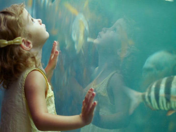 50 things you never knew women invented