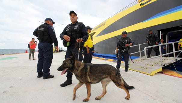 Members of the Federal Police guard access to...