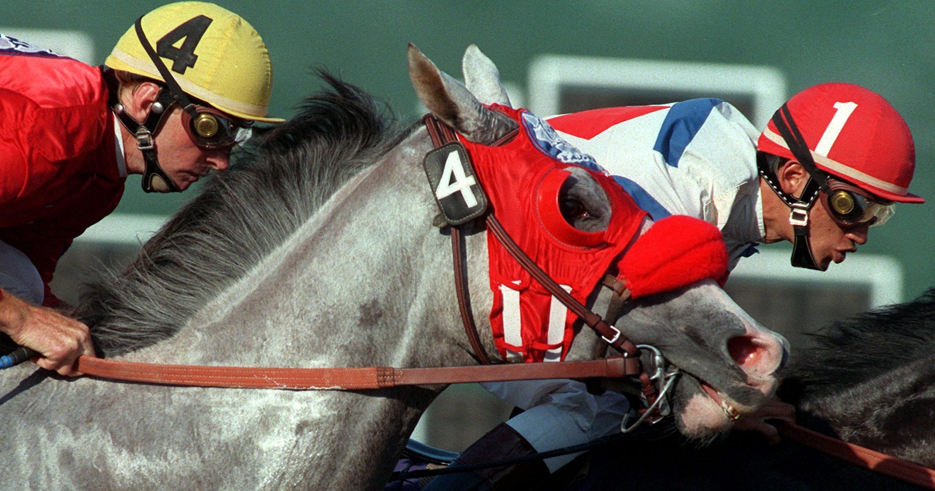 The ethical price of horse racing