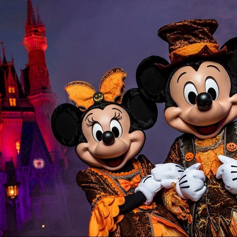 Mickey and Minnie in black-and-orange costumes in...
