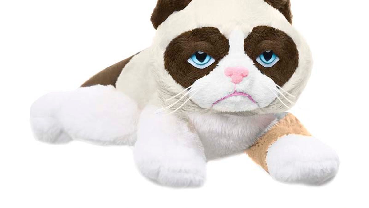 Recall Roundup Grumpy Cat Toys Bed Canopies Get Recalled