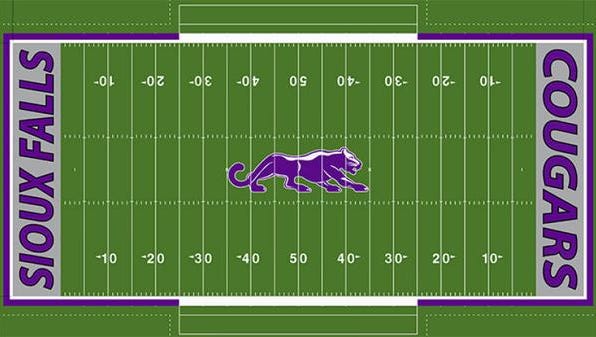 How Bob Young Field will look with USF's imagery on new turf.