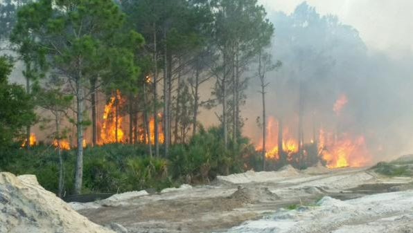Division of Forestry crews are cutting fire breaks in the fire near Strom Park in Viera.