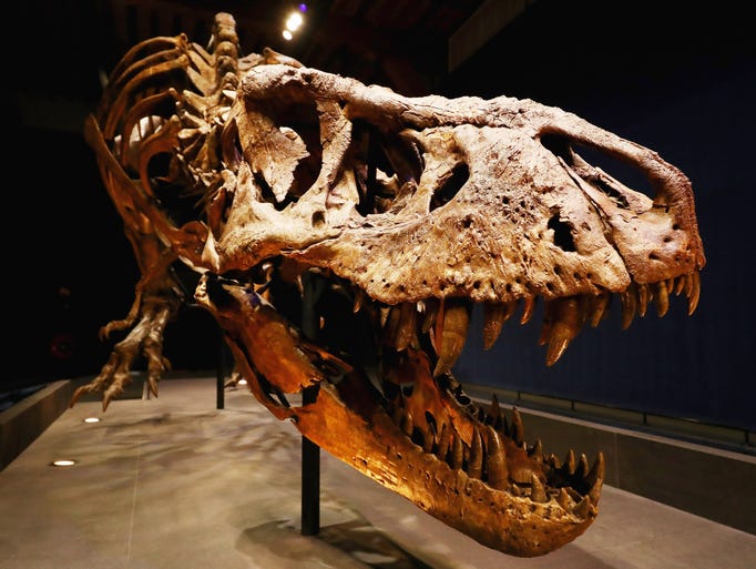 trix tyrannosaurus