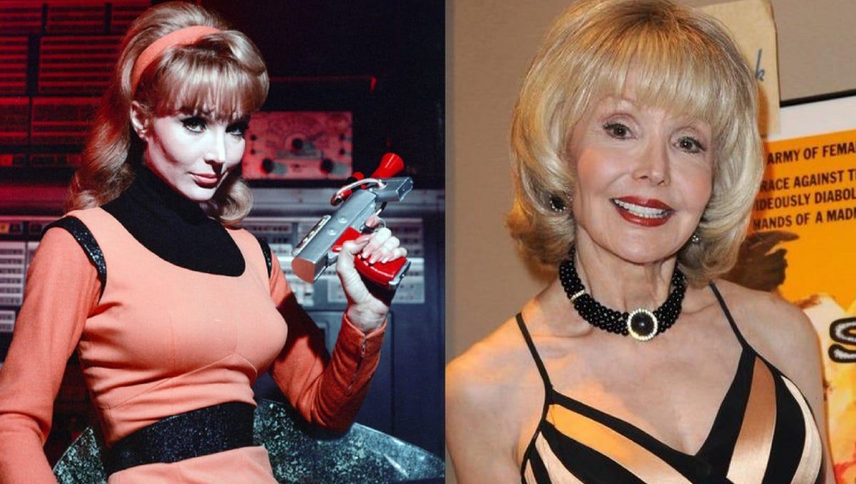 Francine York S Journey To Hollywood