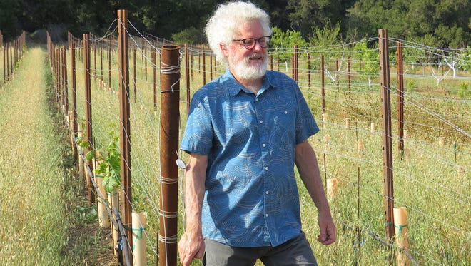 Adam Tolmach, founder and winemaker of The Ojai Vineyard, pauses while leading a tour of the newly planted vineyard at the winery in Oak View. The 1.2-acre planting features varietals developed by the UC Davis grape-breeding program to be resistant to Pierce's Disease -- the same disease that destroyed Tolmach's original vineyard in the 1990s.