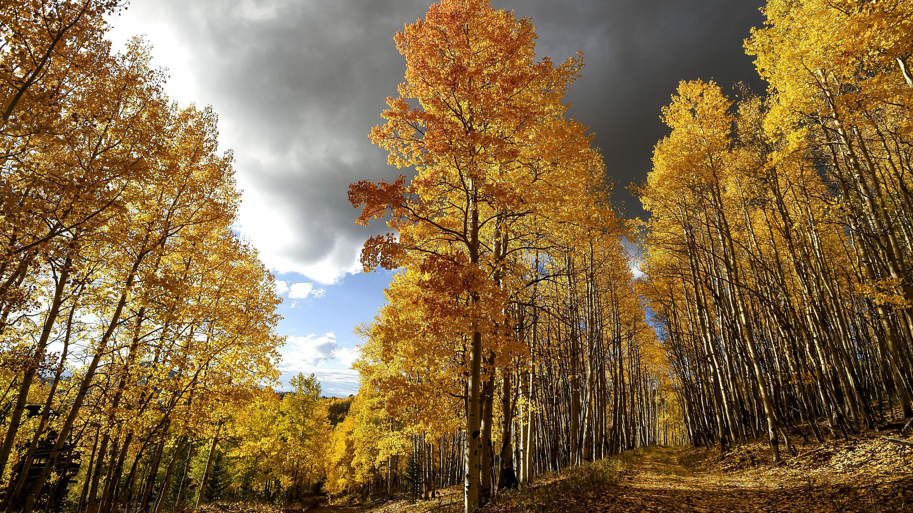 Where to see Colorado’s best fall color displays