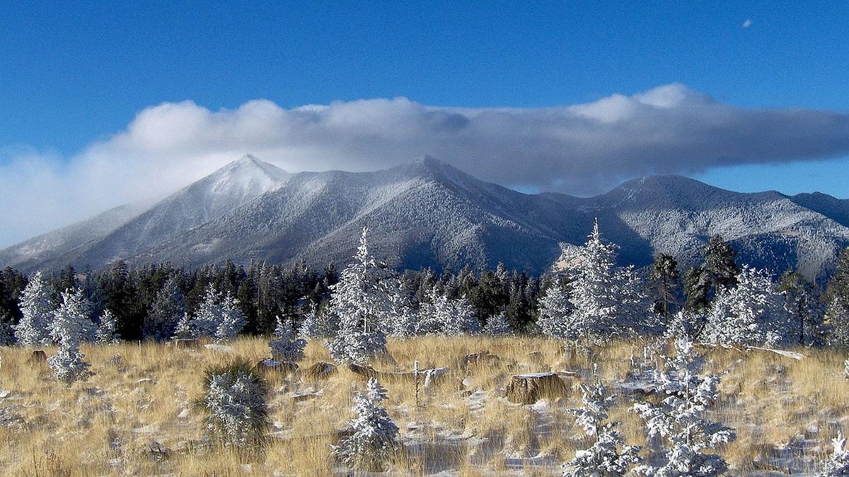 Flagstaff named underrated US travel destination. Here’s why to visit Flagstaff named underrated US travel destination. Here’s why to visit