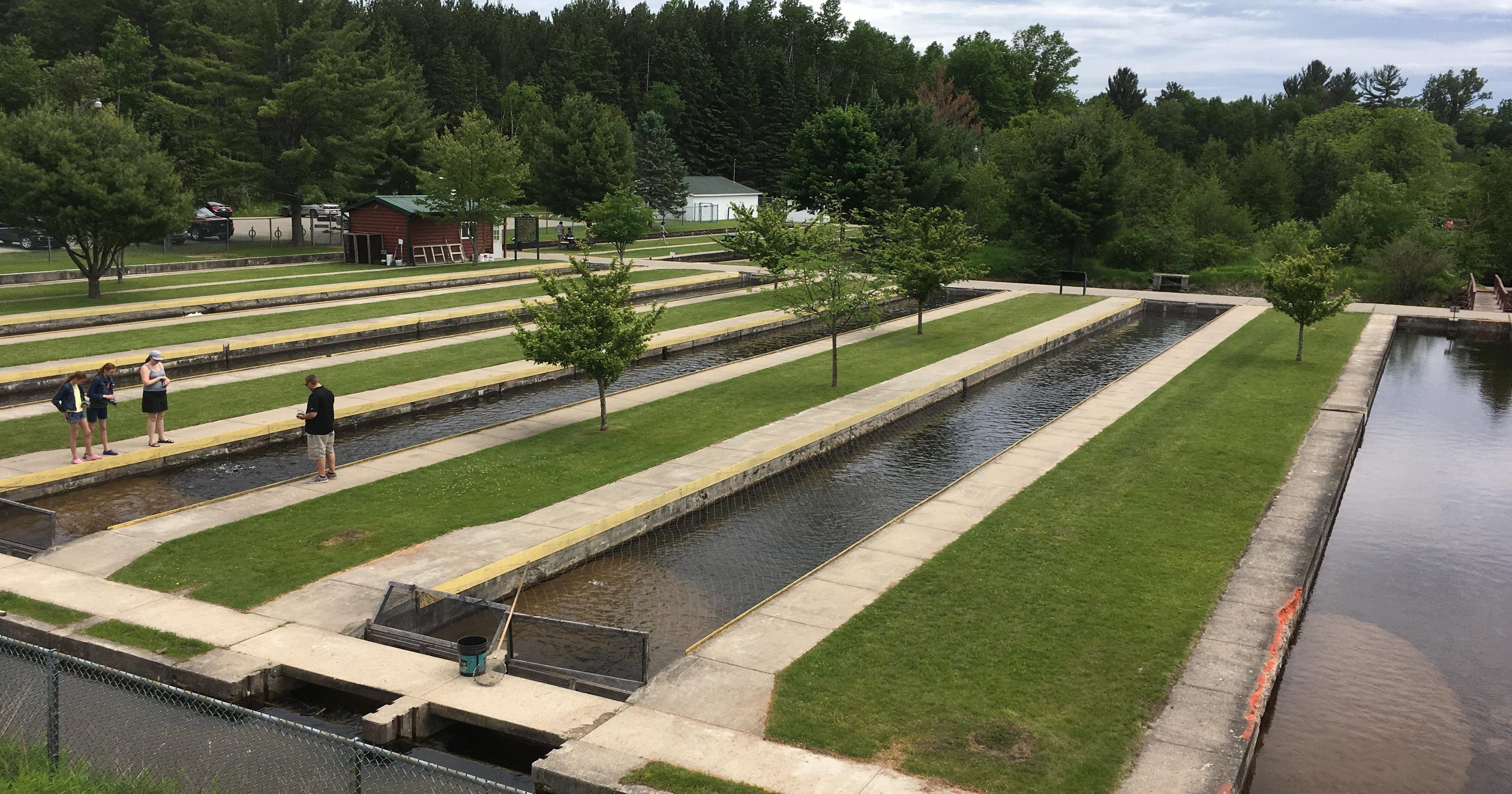 Anglers group, fish farm reach deal on disputed north Michigan hatchery