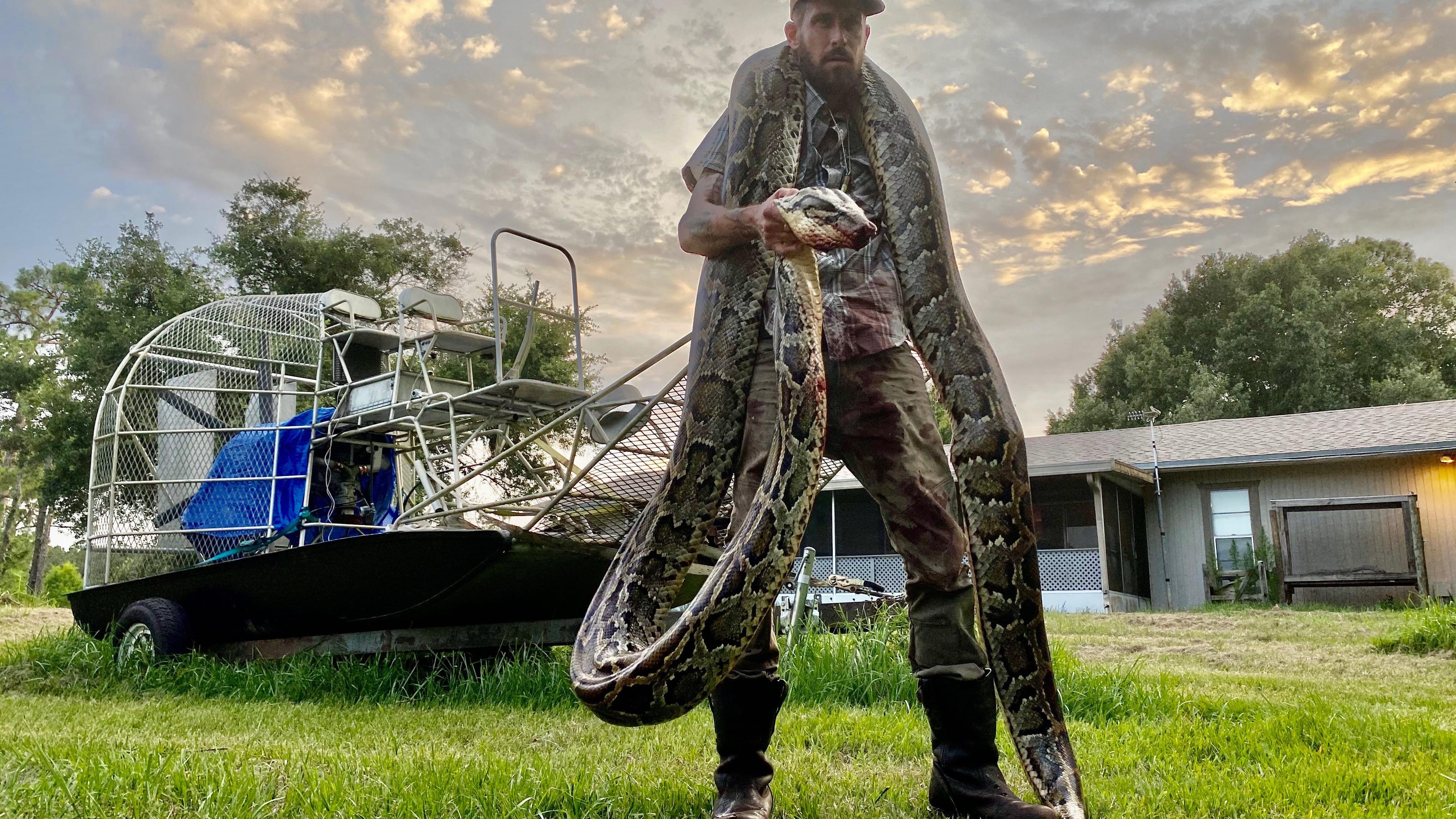 Florida Everglades Burmese python hunter bitten, catches 17-foot snake