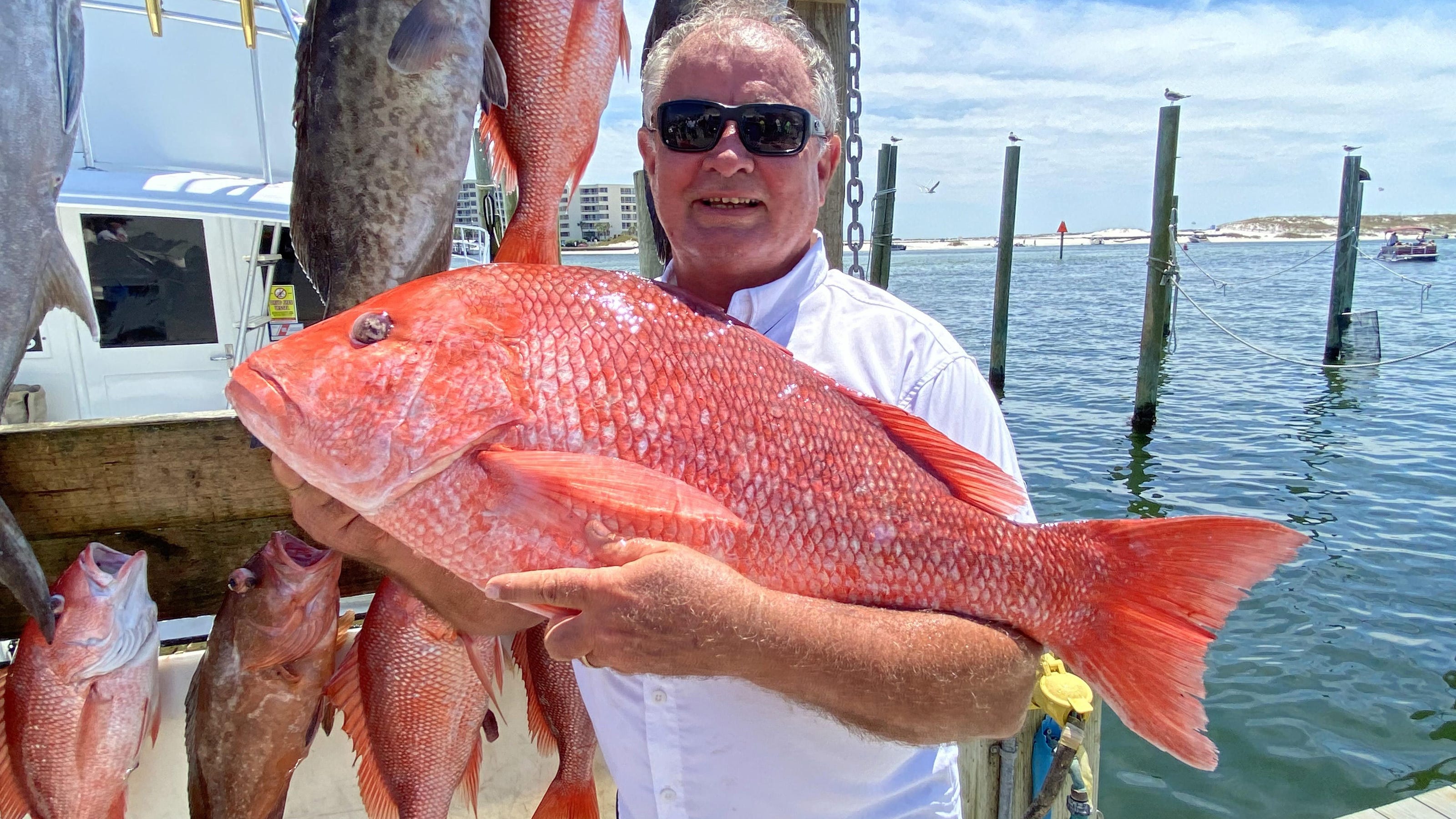 Red snapper season is on (PHOTOS)