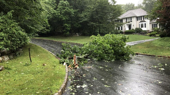 Elora Drive in Sparta is blocked by a downed tree Tuesday, Aug. 4.
