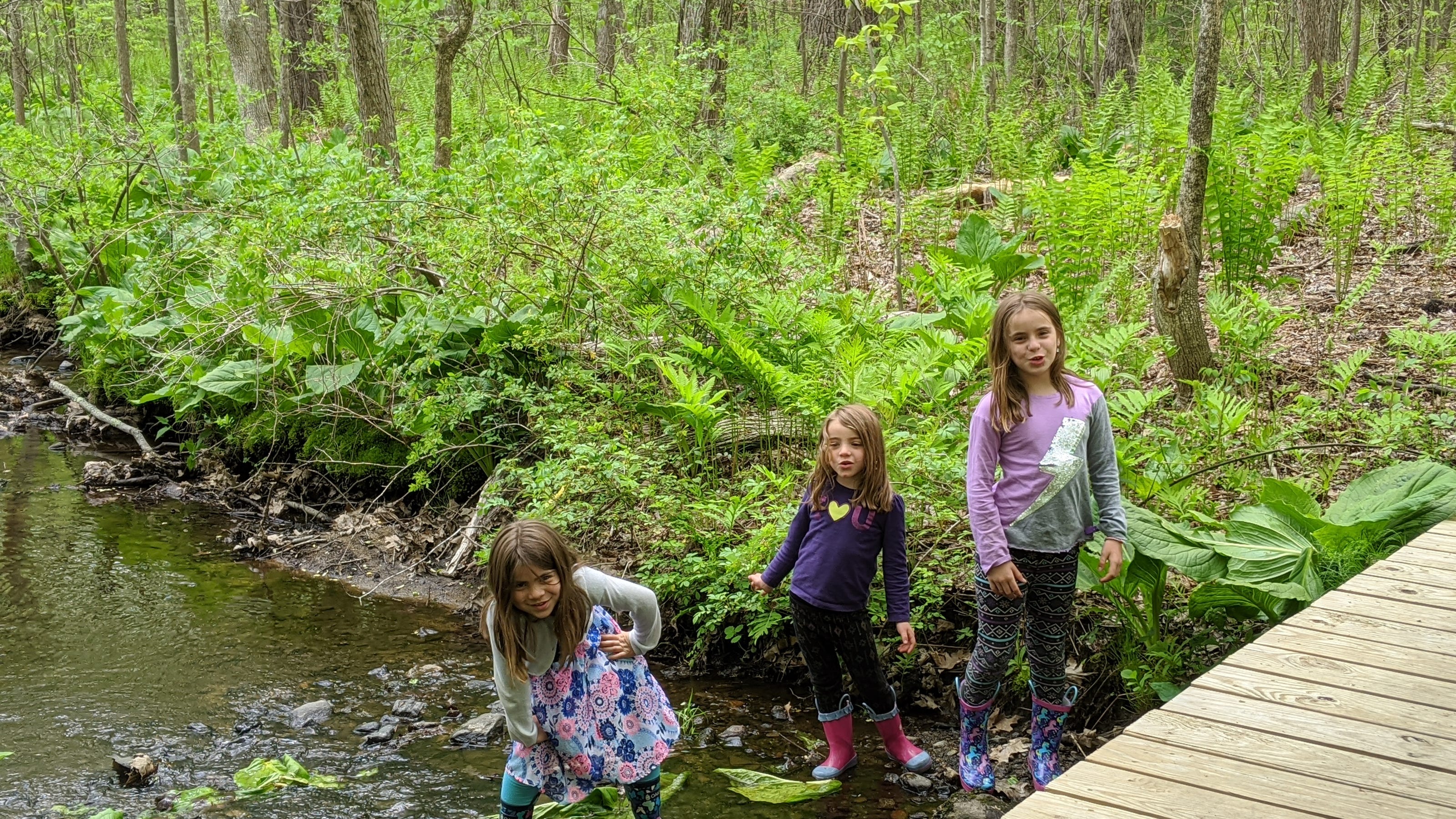 Hike Worcester Challenge spotlights city's numerous trails