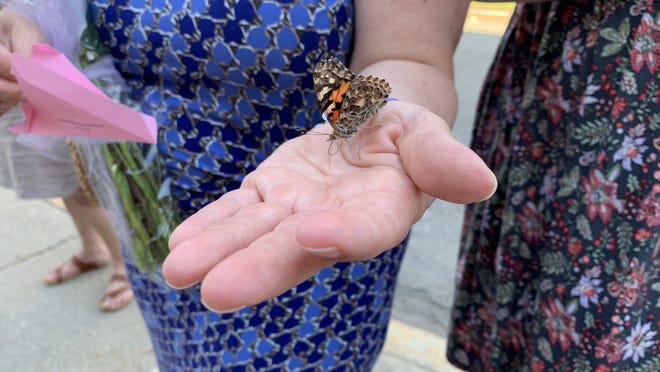A butterfly perched on Angela Cedrone's hand during a ceremony honoring her older daughter Francesca Cedrone this week at City Hall. The Nonantum Neighborhood Association created a scholarship to honor Francesca, a resident who died at age 22 in December 2019. The scholarship was given to recent high school graduate TJ Caira during the ceremony.