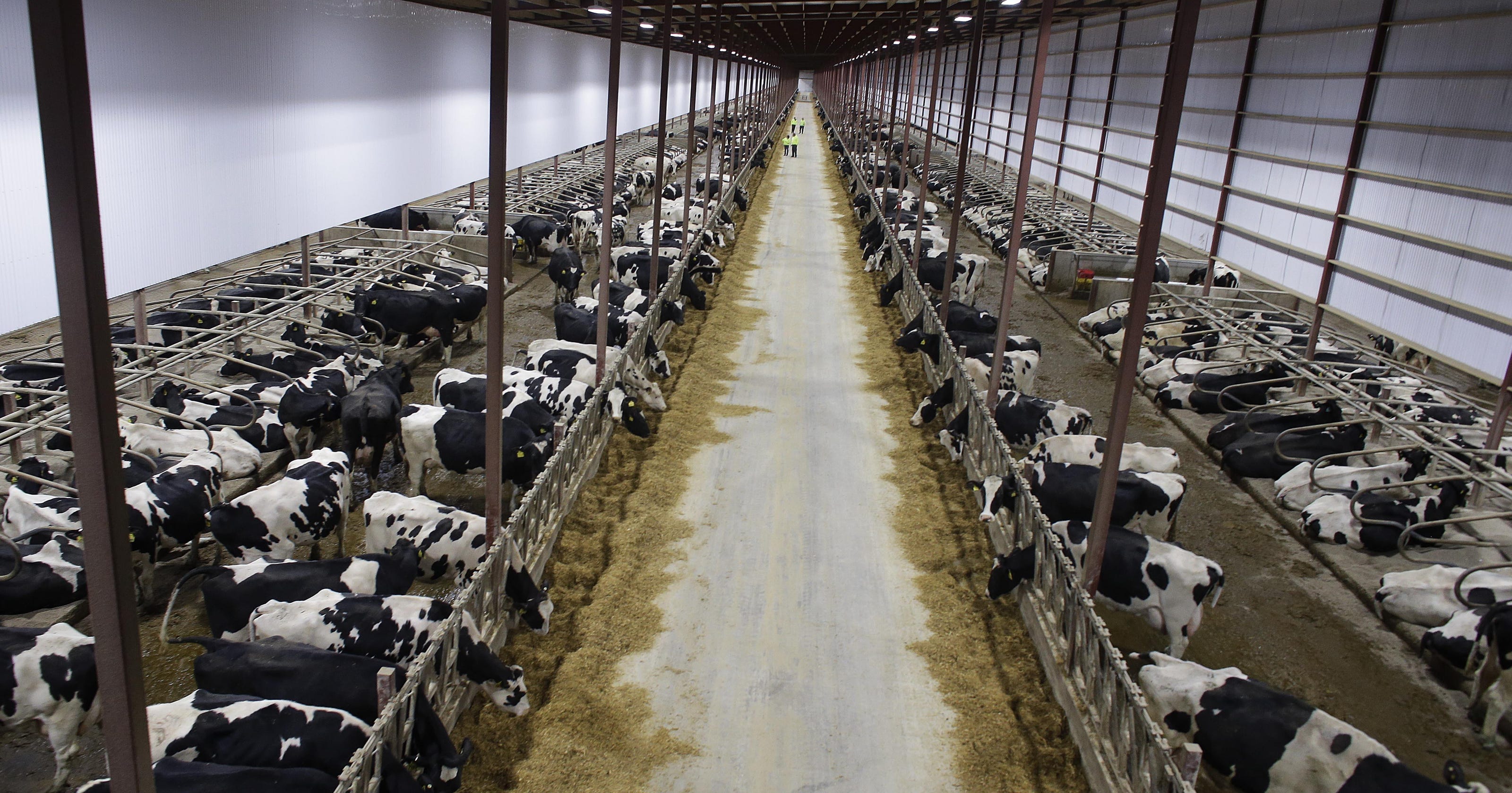 Kinnard farms: Wisconsin supreme court asked to rule on CAFO rules