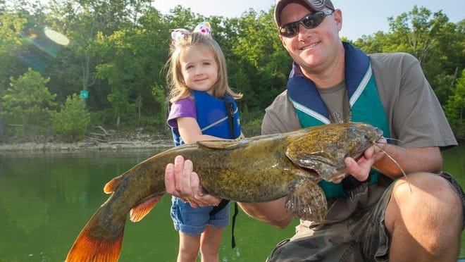 A flathead catfish that would qualify for a Master Angler Award.