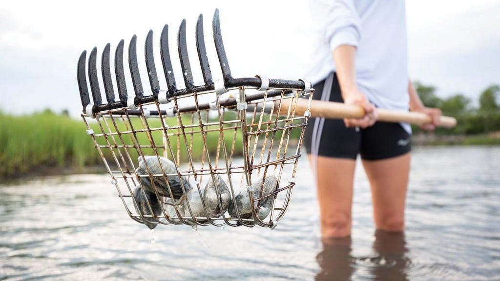 A Guide to Shellfishing in RI