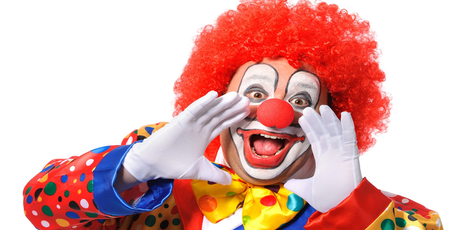 Сайт клоуна. Клоун. Весёлые клоуны. Клоуны для детей. Клоун на белом фоне.