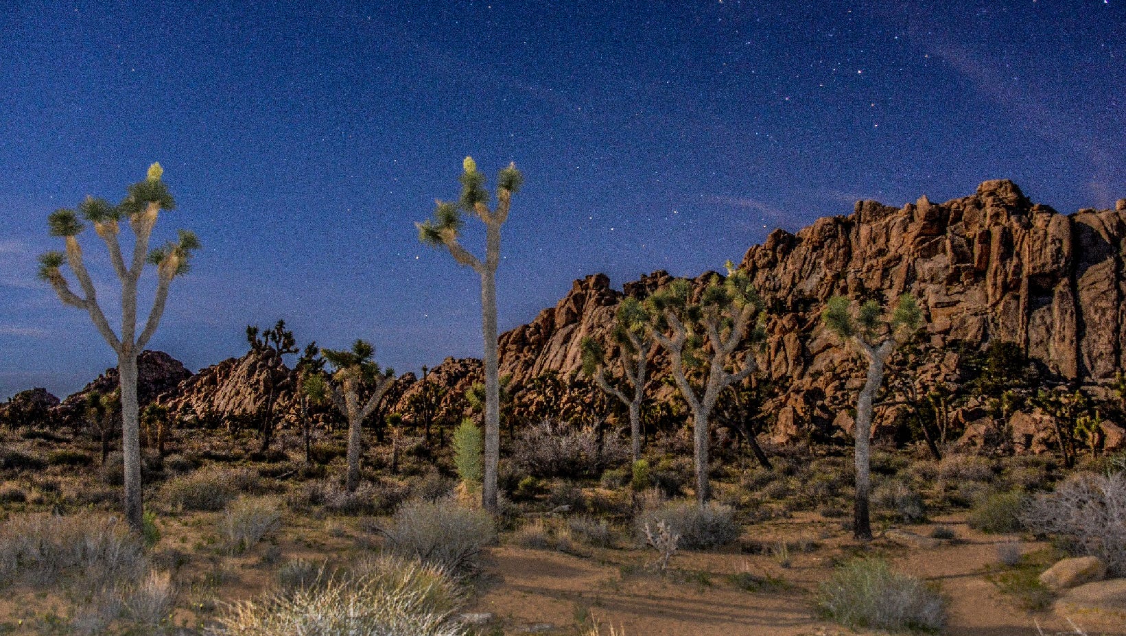 Ultimate Palm Springs area bucket list 25 things to do in the