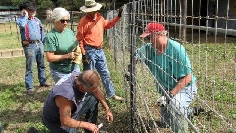 Rolls of wire fencing was added by volunteers to sections of the 10 acre property to ensure the security and isolation of the horse herd.
