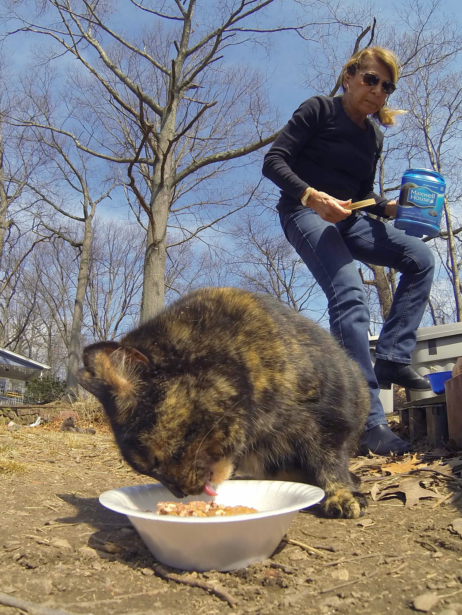 Feline Rescuers Not Your Typical Cat Ladies