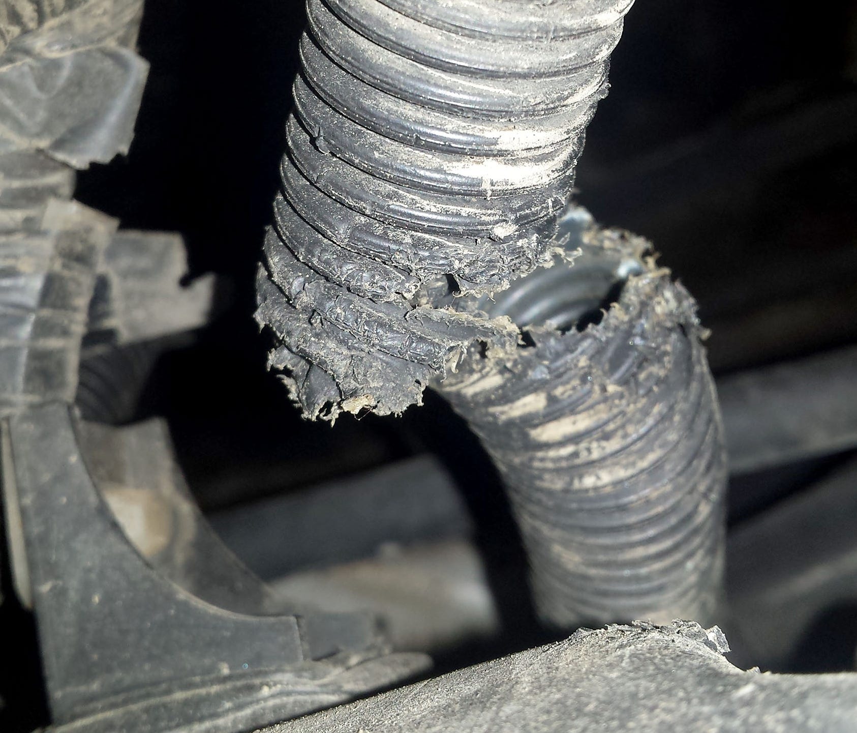 Albert Heber of Indiana owned a 2012 Toyota Tundra and had its soy-based insulated wiring chewed through by rodents three times, the first in 2013. Total damages were about $1,500 -- damages that attorney Brian Kabateck said Toyota wouldn't cover und