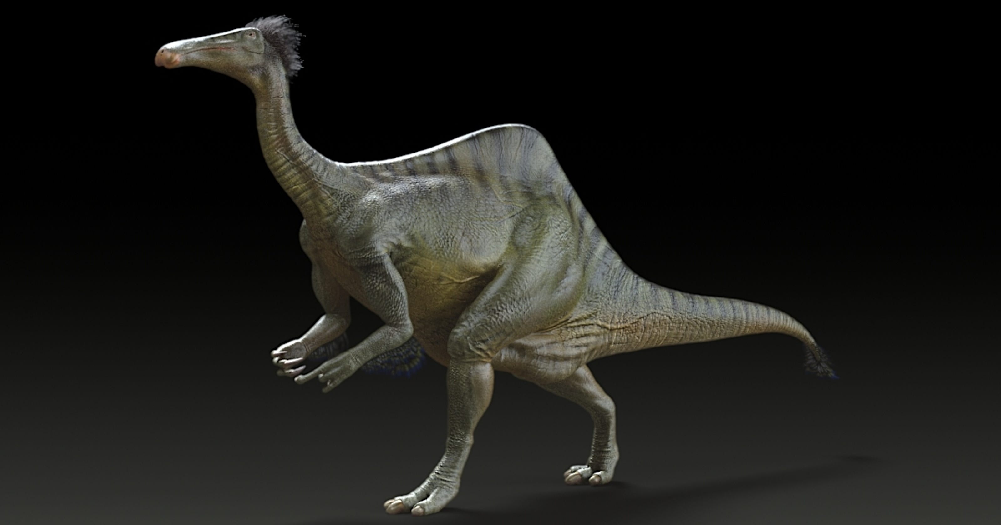 Mystery solved monster dinosaur  had 8 foot arms weighed 