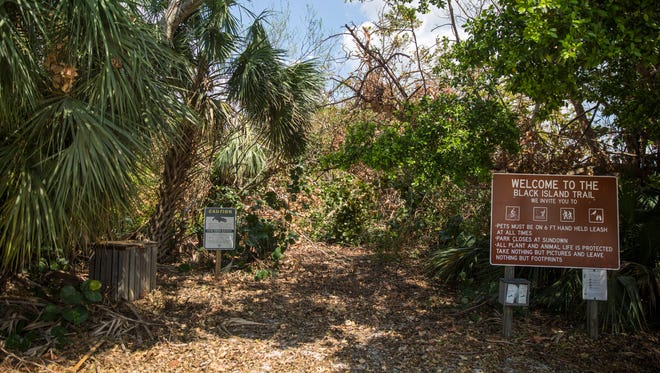 Hurricane Irma left the Black Island Trail at Lovers Key State Park inaccessible, as seen on Friday, Sept. 22, 2017.