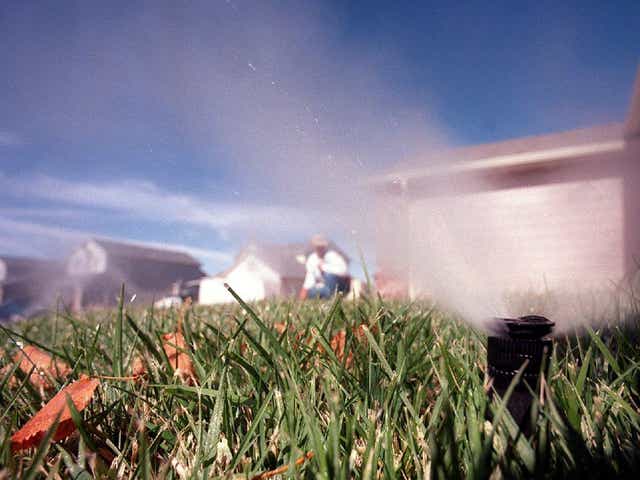 Mowing To Weeding How To Care For A Colorado Lawn From Spring To Fall