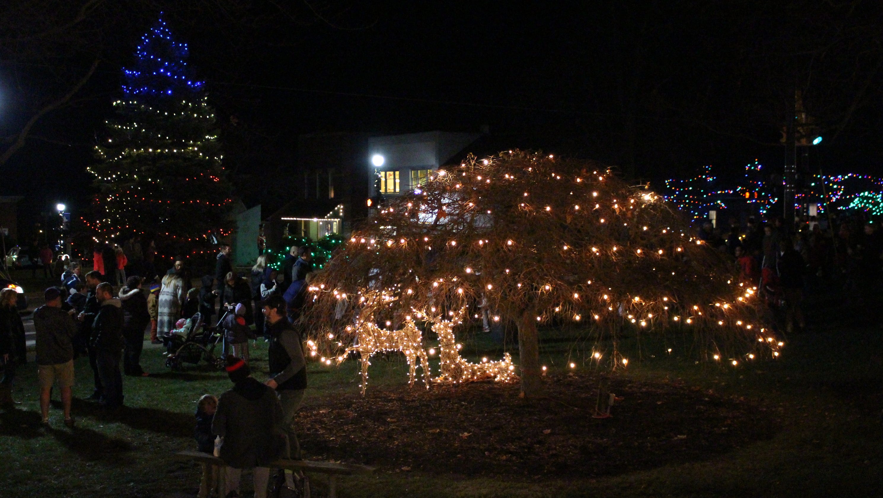 Lexington lights up for holidays
