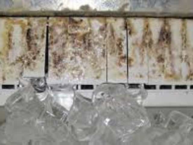 Mold And Slime On Soda Fountains Can Make You Seriously Sick