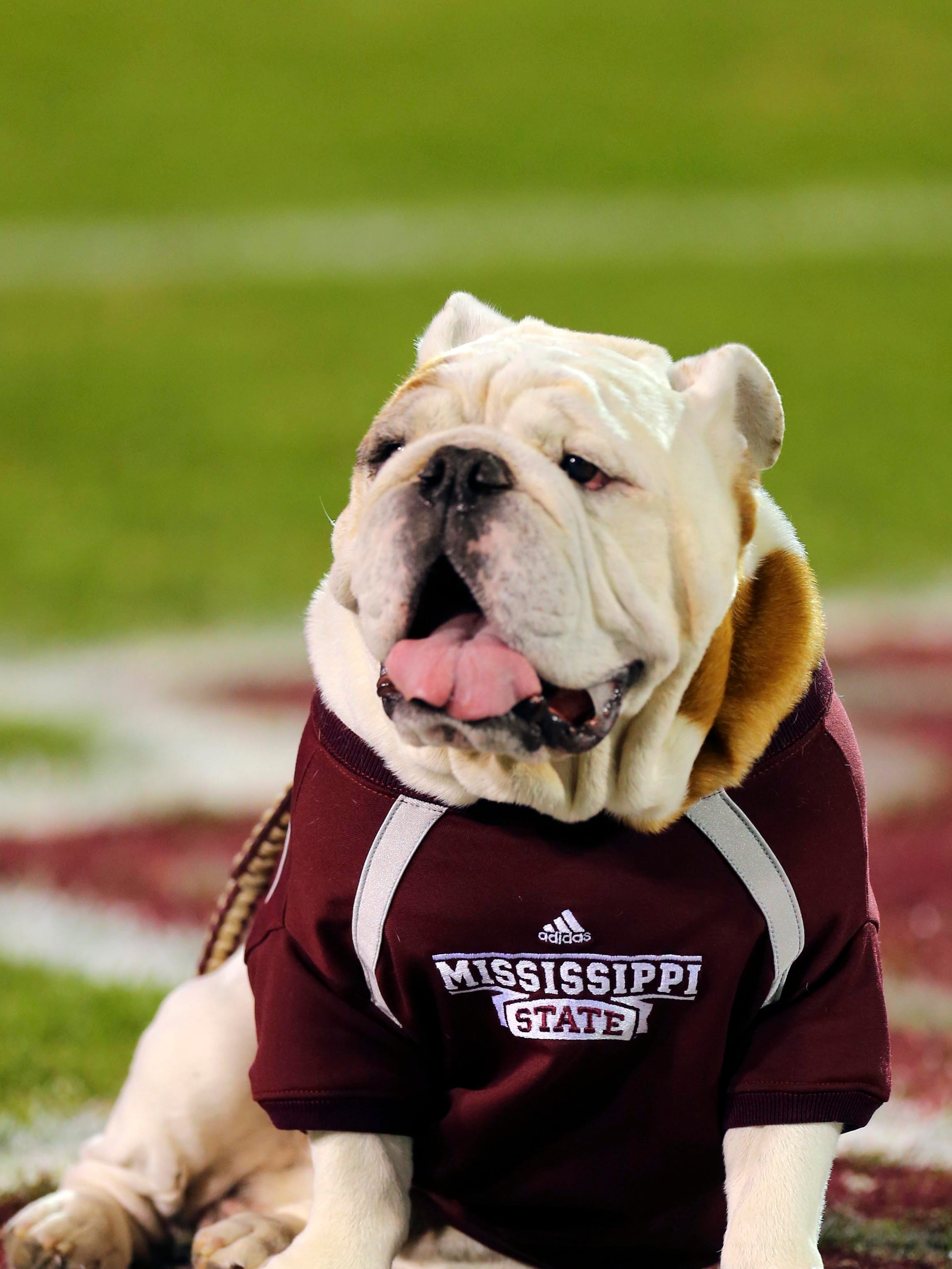 There Once Was A Mississippi State Bulldog Mascot Named Rebel