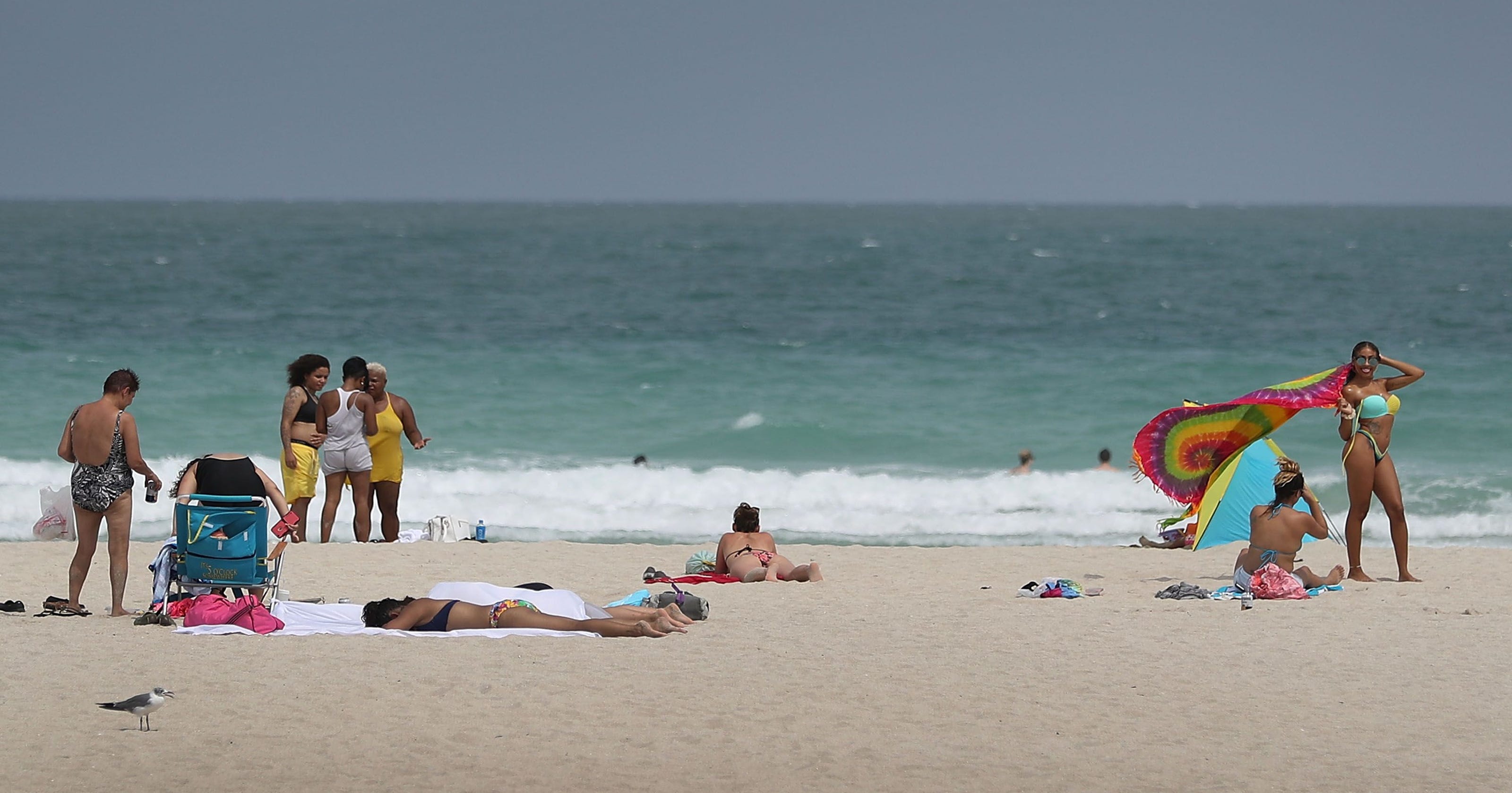 Shark Bite At Haulover Beach In Florida Swimmer S Legs Bitten