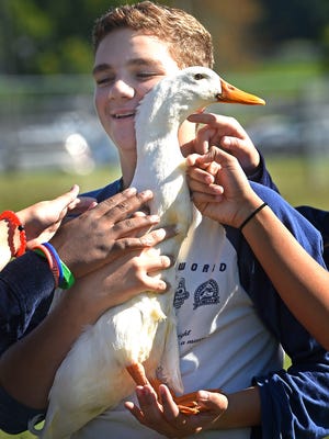 Colby Chapman gets a lot of attention along with the duck he caught during class at McGavock High School.