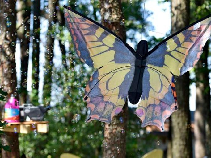 The second annual Butterfly Adventure is being hosted