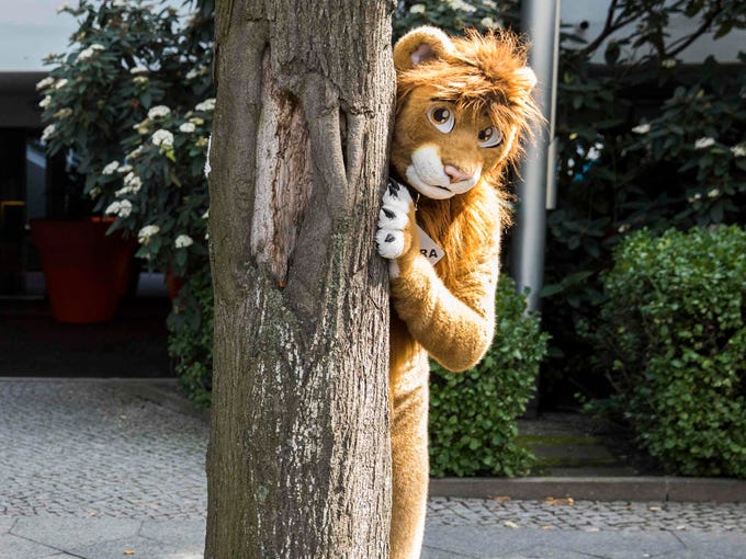 Arizona Gop Lawmaker Asks What A Furry Is Furries Respond - 