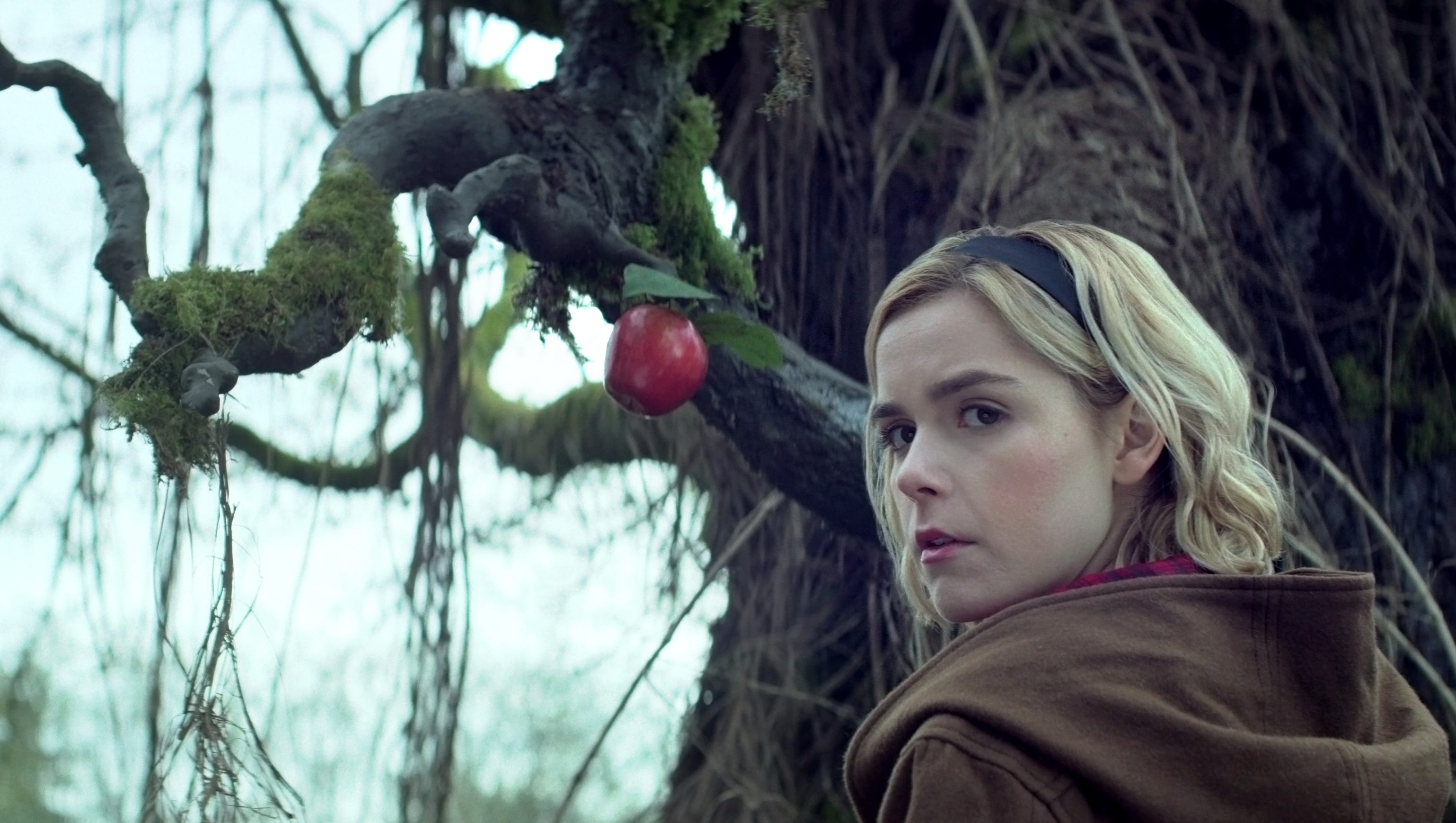 5 Spooky New Shows For Halloween From House Hill To Sabrina A brother and sister battle a witch who lures teenagers into her suburban home with her. 5 spooky new shows for halloween from