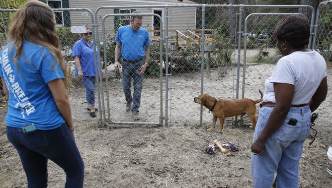 Leon County Puts More Teeth In Animal Control Code Leon County Puts More Teeth In Animal Control Code