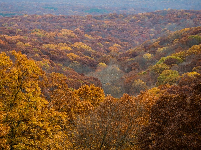 Stunning peak fall foliage at Indiana's Brown County State Park